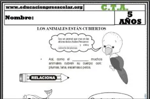 Fichas de de La Cubierta Corporal de los Animales Para Niños de Cinco Años
