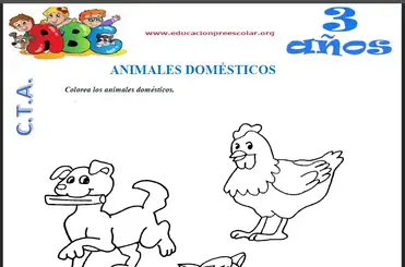 Animales Domésticos Para Niños de 3 Años — Educación Preescolar