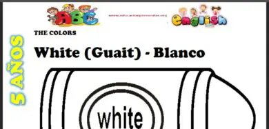 Fichas del Color Blanco en Ingles Para Niños