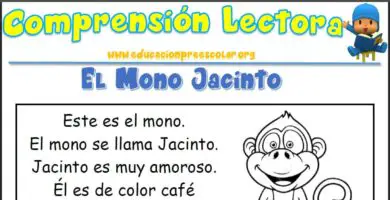 Comprensión Lectora del Mono Jacinto