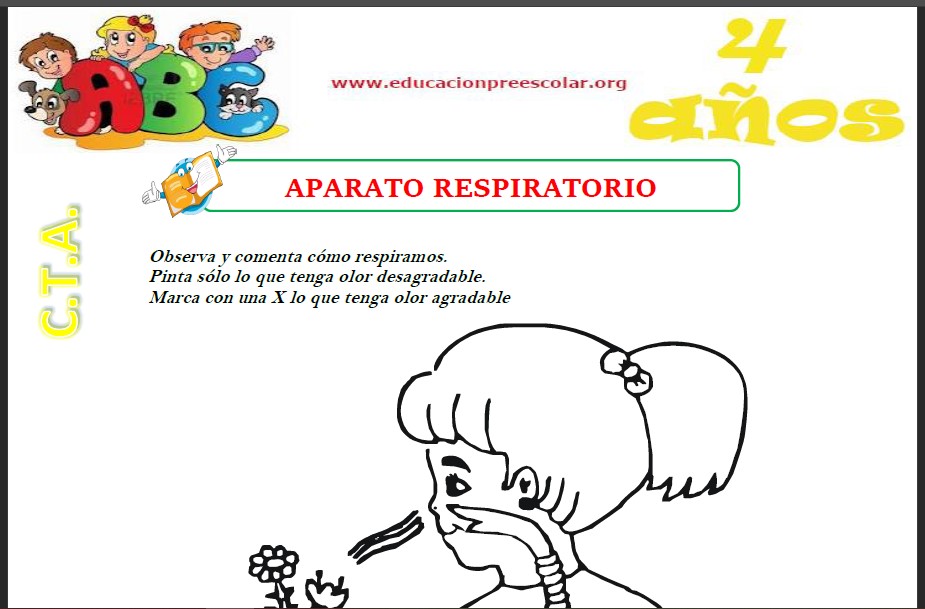Fichas del Sistema Respiratorio Para Niños de Cuatro Años
