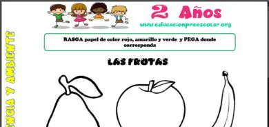 Fichas de Las Frutas Para Niños de Preescolar