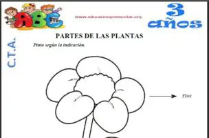 Fichas de Las Partes de la Planta Para Niños de 3 Años