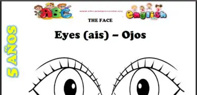 Fichas de Los Ojos en Ingles Para Niños